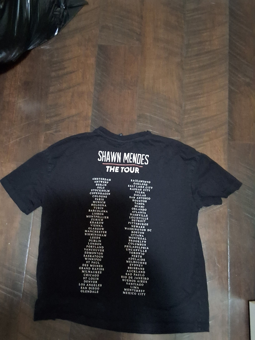 Shawn Mendes Black Tour Graphic Tee - Back Print